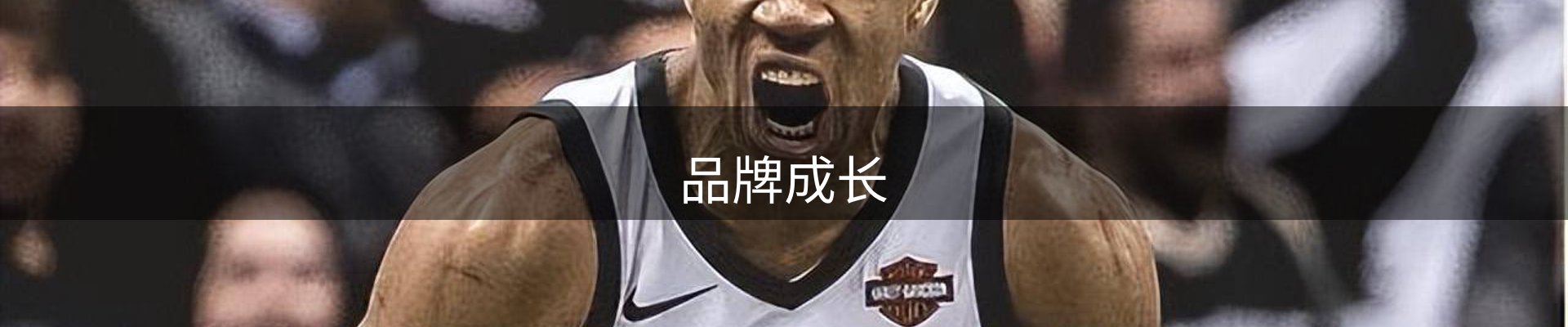 品牌成长